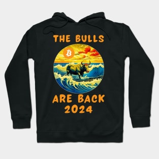 The bulls are back 2024 Hoodie